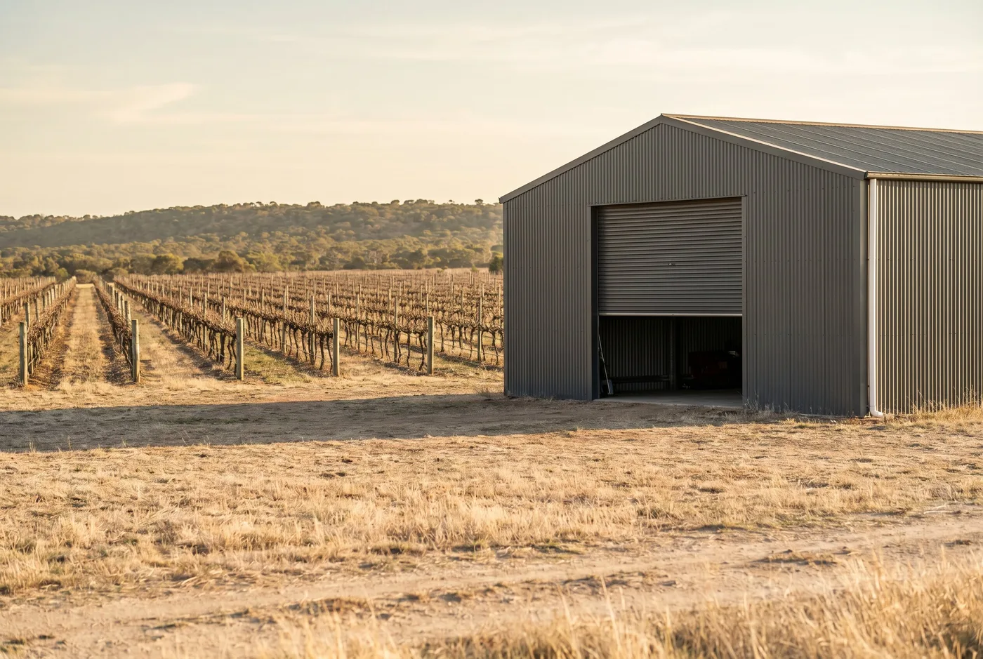 A machinery shed with a wide roller door beside vineyard rows near Broke NSW